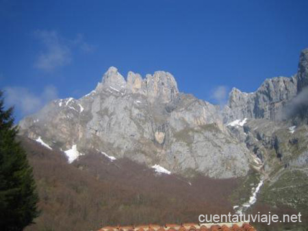 Picos de Europa